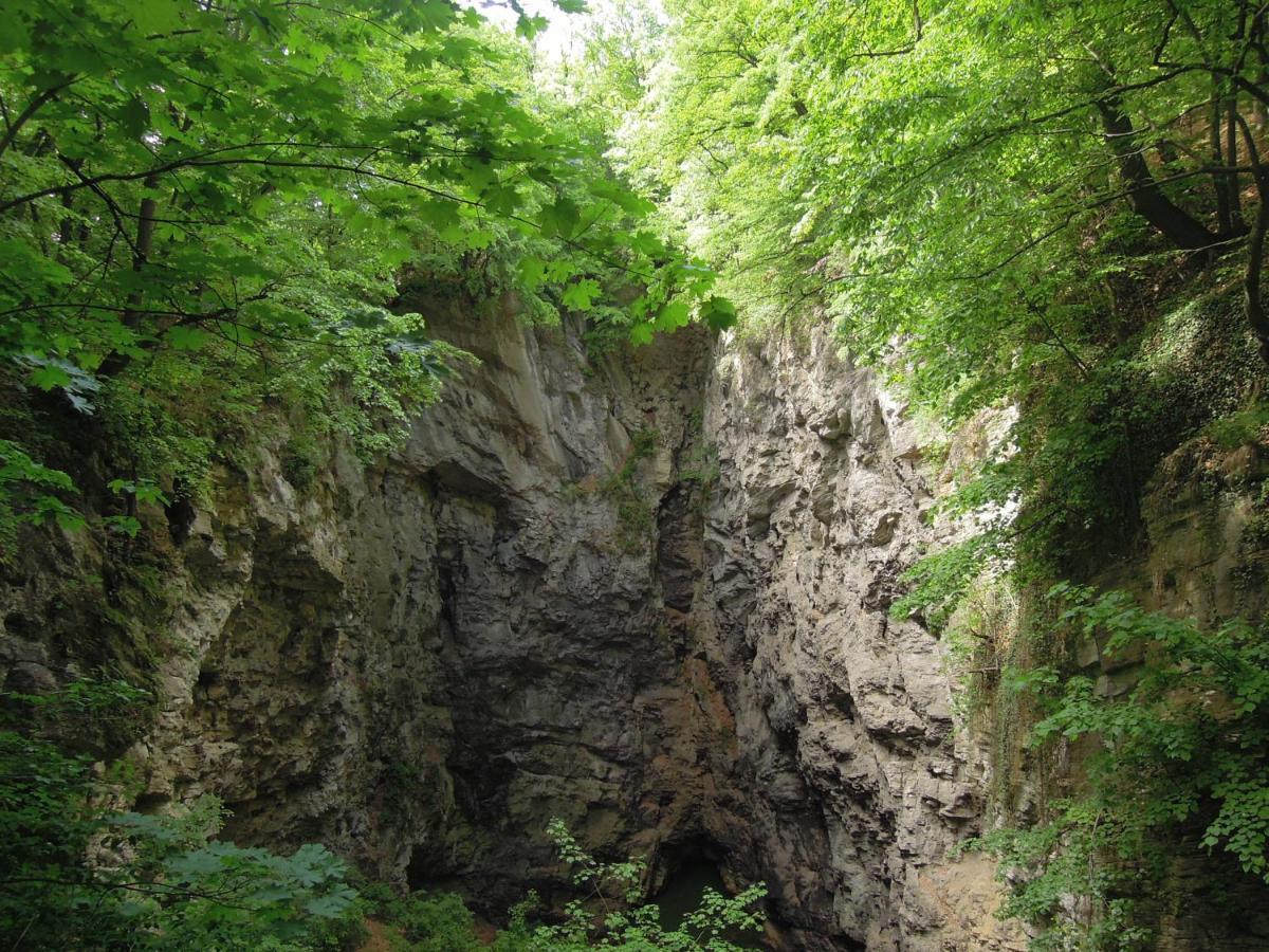 Apartmán Apartmá s vlastní saunou Lipník nad Bečou Exteriér fotografie